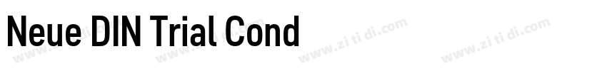 Neue DIN Trial Cond字体转换